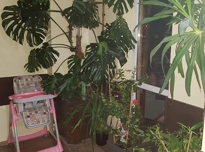 Accommodatie bij particulieren Relaks 2 *